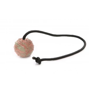 Dogtech 6cm átmérőjű labda 50 cm-es zsinórral