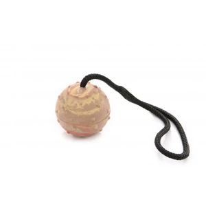 Dogtech 6cm átmérőjű tömör labda 30 cm-es fogóval